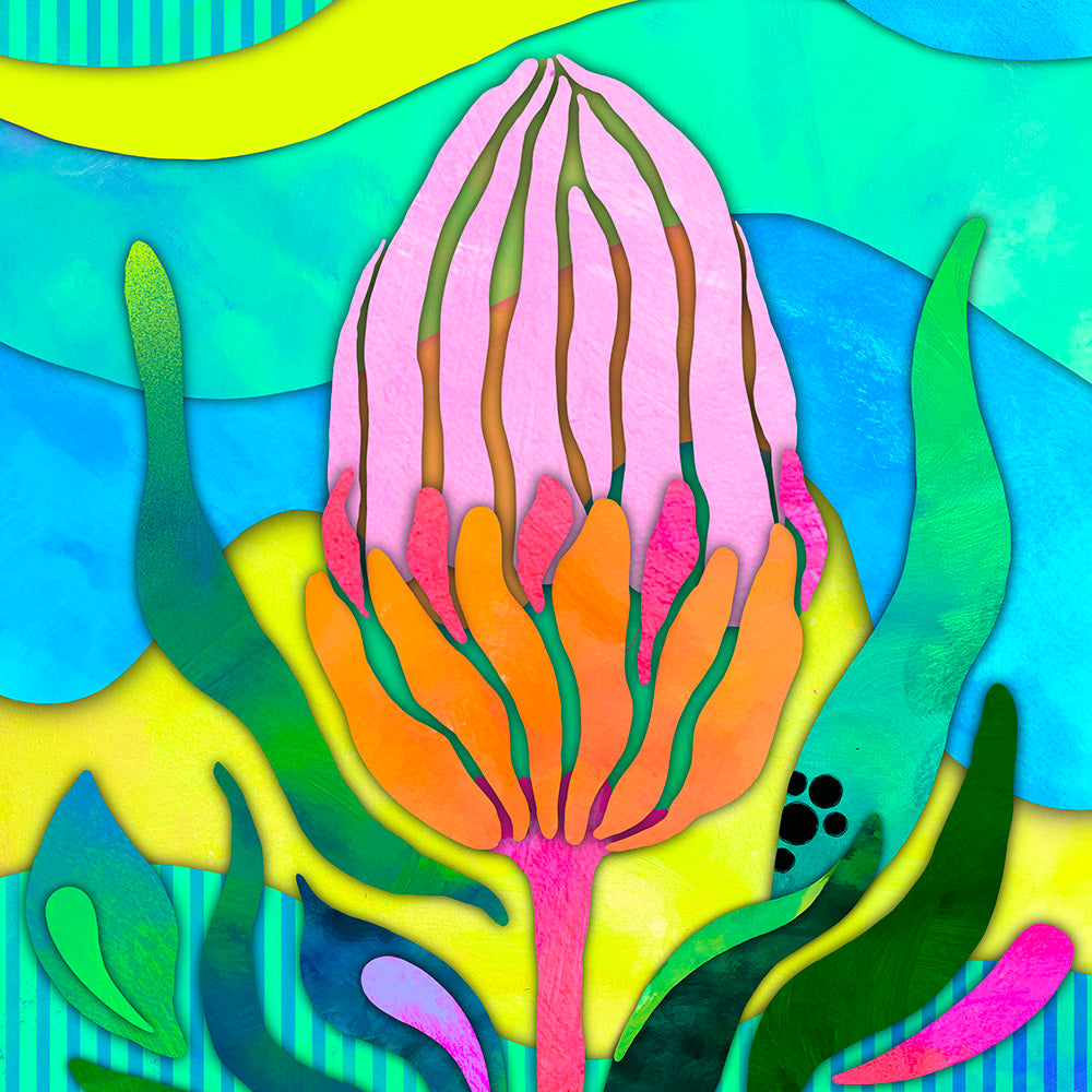 BOLD BLOOMS (Natives)